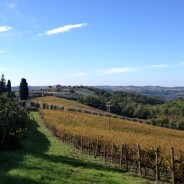 Tuscany. Property in Chiantishire. Ref. F111